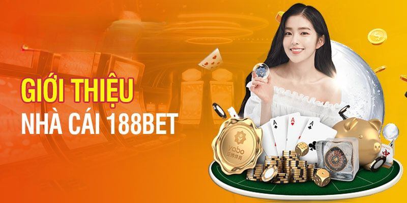 Nền tảng hoạt động và lịch sử
