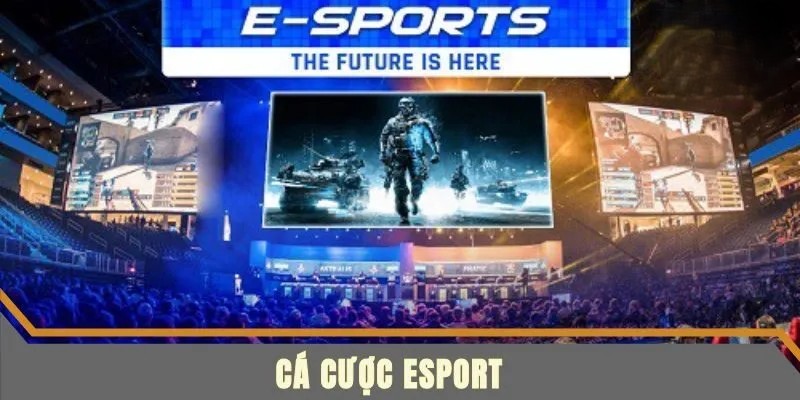 Tìm Hiểu Về Cá cược Esports