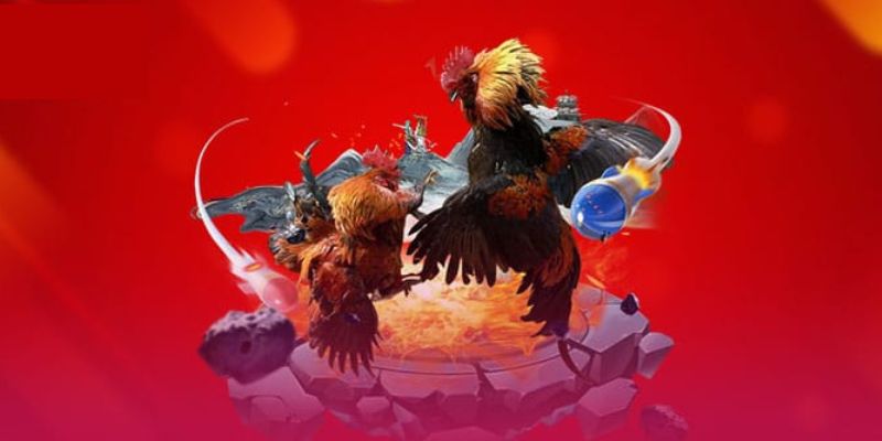 Luật Chơi Đá Gà 188BET: Các Quy Định Cần Nắm Rõ