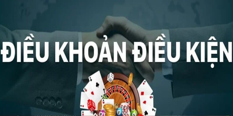 Câu hỏi thường gặp về Điều khoản và Điều kiện