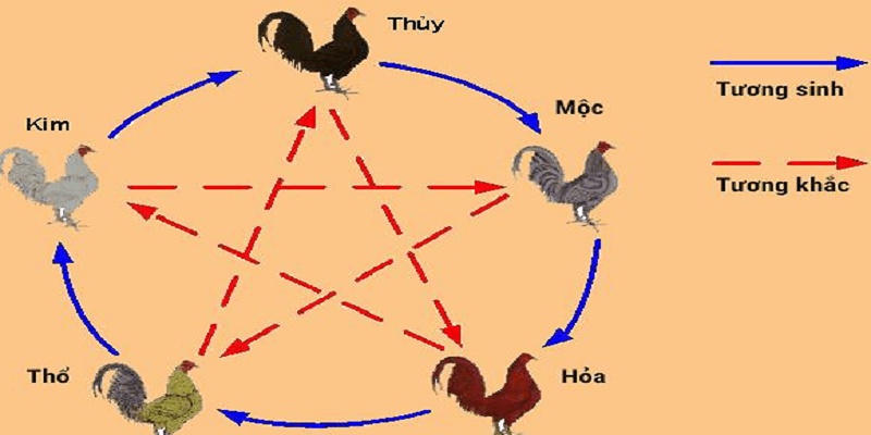 Các Yếu Tố Quan Trọng Khi Thiết Kế Mạng Gà