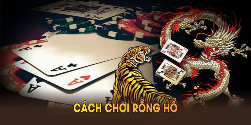 Quy Tắc Cơ Bản Khi Chơi Rồng Hổ