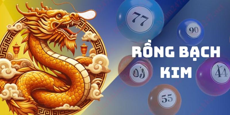 Các Lời Khuyên Về Rồng Bạch Kim