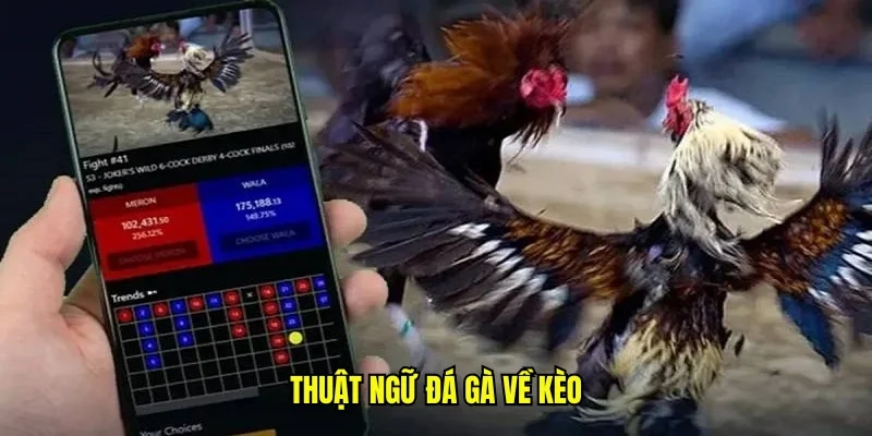Giải mã các thuật ngữ cá cược trong đá gà