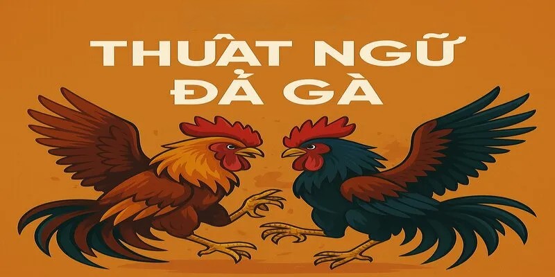 Giới thiệu chung về thuật ngữ trong đá gà
