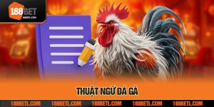 thuat ngu da ga