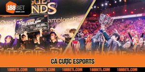 ca cuoc esports